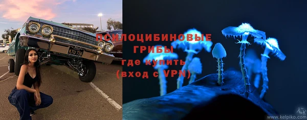 PSILOCYBIN Арсеньев